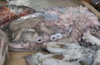 Latvijas tūristi ir laipni aicināti apmeklēt zivju tirgu Tunisijā 14