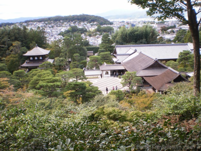 Tūrisma nozare Japānā ir atdzīvojusies, lai atkal tūristiem no visas pasaules ļautu baudīt tās neatkārtojamo kultūru. Foto:  www.traveltime.lv 81804