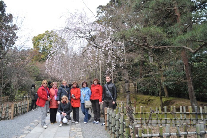 Tūrisma nozare Japānā ir atdzīvojusies, lai atkal tūristiem no visas pasaules ļautu baudīt tās neatkārtojamo kultūru. Foto:  www.traveltime.lv 81811