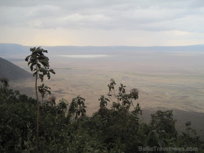 Tanzānijas skaistākie Nacionālie parki - Tarangire, Ngorongoro krāteris un Serengeti parks. Dzīvnieku pārbagātība un lielākā gnu un zebru migrācija pa 82226