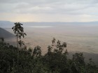 Tanzānijas skaistākie Nacionālie parki - Tarangire, Ngorongoro krāteris un Serengeti parks. Dzīvnieku pārbagātība un lielākā gnu un zebru migrācija pa 8