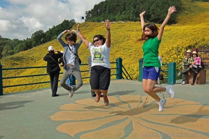Taizeme ir skaista un neizprotama valsts ar savu kultūru, reliģiju un uzskatiem. Foto: www.pictures-thailand.com Taizeme ir skaista un neizprotama valsts ar savu kultūru, reliģiju un uzskatiem. Foto: www.pictures-thailand.com 82325
