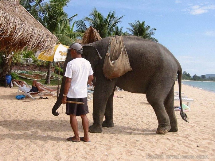 Taizeme ir skaista un neizprotama valsts ar savu kultūru, reliģiju un uzskatiem. Foto: www.pictures-thailand.com Taizeme ir skaista un neizprotama valsts ar savu kultūru, reliģiju un uzskatiem. Foto: www.pictures-thailand.com 82347