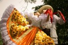 Bambuko kultūras festivāls ietver gan mūzikas, gan dejas, gan tērpu parādes elementus. Foto: www.colombia.travel 15