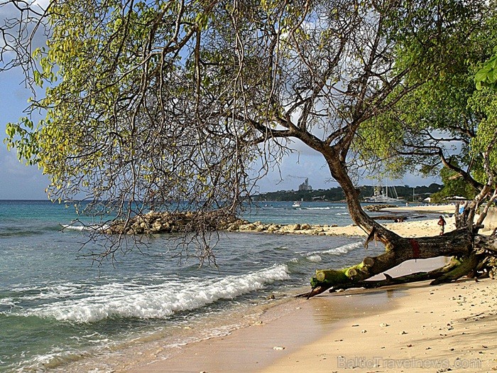 Ruma dzimtene – Barbadosa pārsteidz ar savu mantojuma, kultūras un dabas krāšņumu. Foto: www.visitbarbados.org Ruma dzimtene – Barbadosa pārsteidz ar savu mantojuma, kultūras un dabas krāšņumu. Foto: www.visitbarbados.org 82669