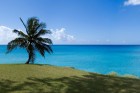 Ruma dzimtene – Barbadosa pārsteidz ar savu mantojuma, kultūras un dabas krāšņumu. Foto: www.visitbarbados.org 1