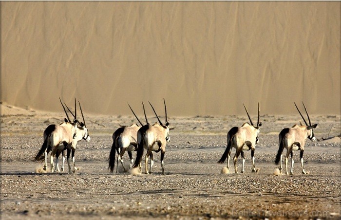 Namībija ir valsts Āfrikas dienvidrietumu piekrastē, kuras dzīvē daba neatstāj vienaldzīgu nevienu dabas mīļotāju. Foto: www.namibiatourism.com 82902