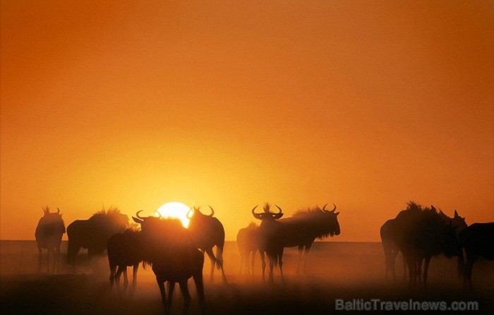 Namībija ir valsts Āfrikas dienvidrietumu piekrastē, kuras dzīvē daba neatstāj vienaldzīgu nevienu dabas mīļotāju. Foto: www.namibiatourism.com Namībija ir valsts Āfrikas dienvidrietumu piekrastē, kuras dzīvē daba neatstāj vienaldzīgu nevienu dabas mīļotāju. Foto: www.namibiatourism.com 82903