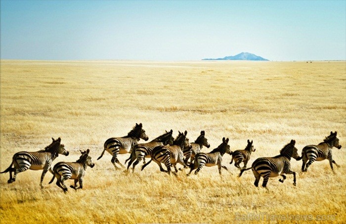 Namībija ir valsts Āfrikas dienvidrietumu piekrastē, kuras dzīvē daba neatstāj vienaldzīgu nevienu dabas mīļotāju. Foto: www.namibiatourism.com 82918