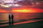 Saulainā Florida, kur saule spīd 300 dienas gadā, spēj apburt ikvienu. Foto: www.visitclearwaterflorida.com 83