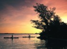 Saulainā Florida, kur saule spīd 300 dienas gadā, spēj apburt ikvienu. Foto: www.visitclearwaterflorida.com 91