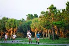 Saulainā Florida, kur saule spīd 300 dienas gadā, spēj apburt ikvienu. Foto: www.visitclearwaterflorida.com 93