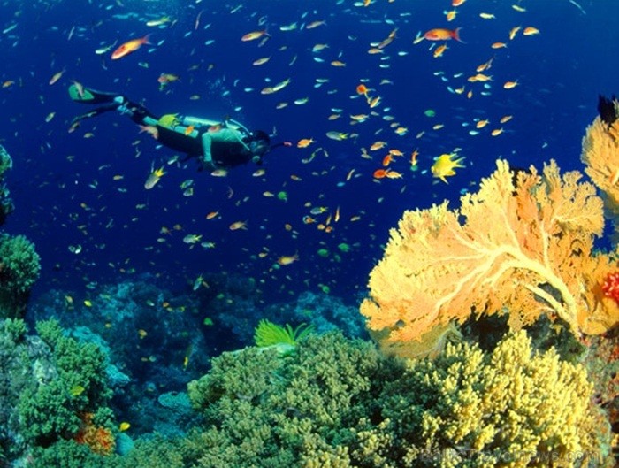 Eksotiskā Taizemes daba un fauna atklāj savu skaistuma virpuli. Foto: www.tourismthailand.org 83288