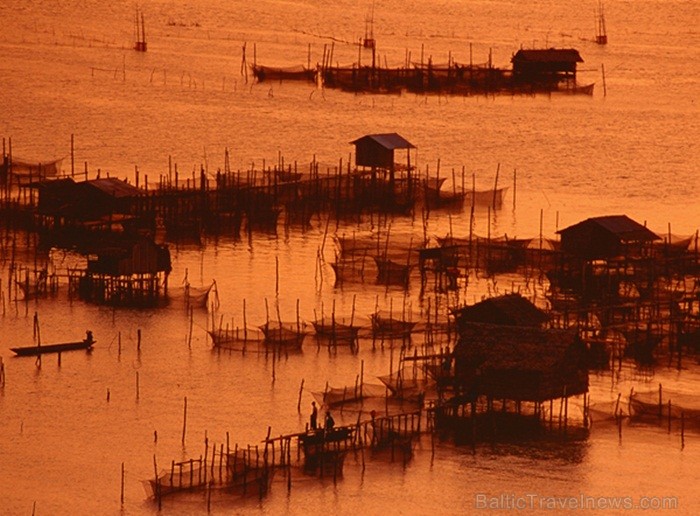 Eksotiskā Taizemes daba un fauna atklāj savu skaistuma virpuli. Foto: www.tourismthailand.org 83290