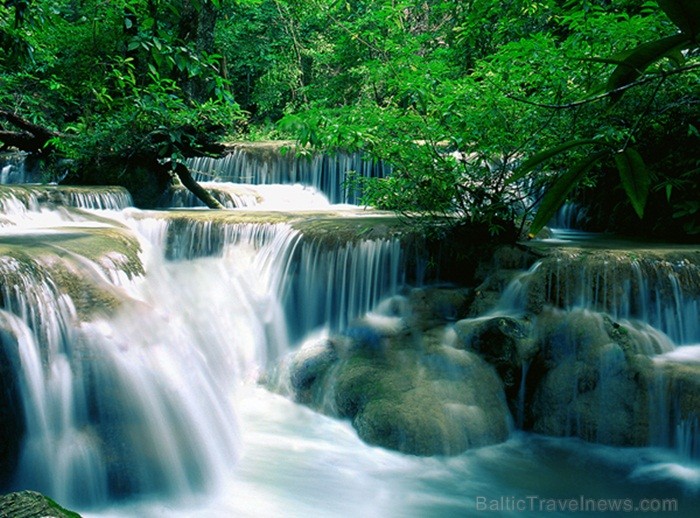 Eksotiskā Taizemes daba un fauna atklāj savu skaistuma virpuli. Foto: www.tourismthailand.org 83292