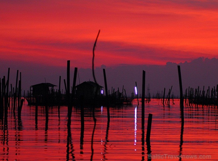 Eksotiskā Taizemes daba un fauna atklāj savu skaistuma virpuli. Foto: www.tourismthailand.org 83293