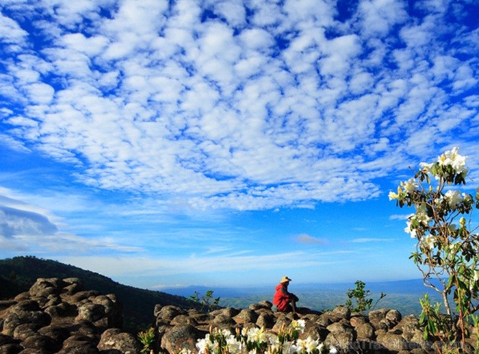 Eksotiskā Taizemes daba un fauna atklāj savu skaistuma virpuli. Foto: www.tourismthailand.org 83304