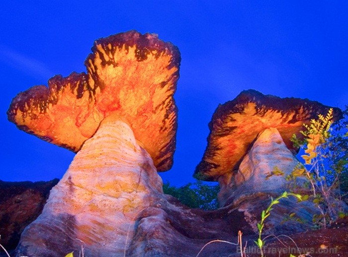 Eksotiskā Taizemes daba un fauna atklāj savu skaistuma virpuli. Foto: www.tourismthailand.org 83308