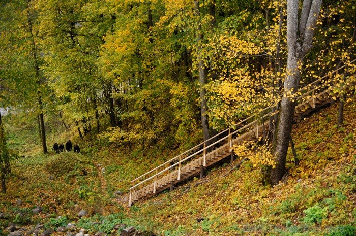 Sigulda joprojām ir nemainīga rudens klasika, par kuru interese nav mazinājusies. Foto: www.tourism.sigulda.lv 83434