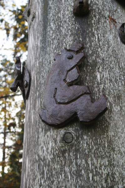 Simbols tam, ka šajā nemitīgi mainīgajā pasaulē cilvēks ir daļa dabas - viss balstās dabas noteikumos un līdzsvarā. Foto: www.terviseturism.ee Simbols tam, ka šajā nemitīgi mainīgajā pasaulē cilvēks ir daļa dabas - viss balstās dabas noteikumos un līdzsvarā. Foto: www.terviseturism.ee 84035