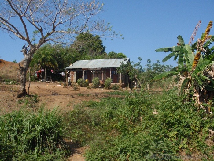 Madagaskaras sala Nosy Be jeb Lielā sala piedāvā tās viesiem plašu dabas un augu dažādību. Foto: www.a-sono.lv Madagaskaras sala Nosy Be jeb Lielā sala piedāvā tās viesiem plašu dabas un augu dažādību. Foto: www.a-sono.lv 84103