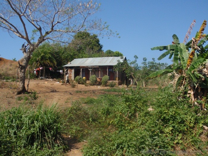 Madagaskaras sala Nosy Be jeb Lielā sala piedāvā tās viesiem plašu dabas un augu dažādību. Foto:  www.a-sono.lv 84103