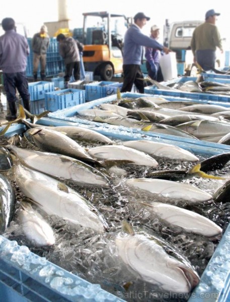 Išikava ir Japānas prefektūra Honsju salas rietumos, kas atrodas Japānas jūras piekrastē. Foto: www.hot-ishikawa.jp Išikava ir Japānas prefektūra Honsju salas rietumos, kas atrodas Japānas jūras piekrastē. Foto: www.hot-ishikawa.jp 84230