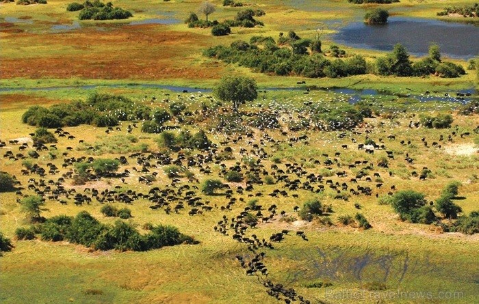 Āfrikas kontinentā Botsvāna ir labi zināma ar saviem mežonīgajiem apgabaliem un savvaļu. Foto: www.botswanatourism.co.bw 84269