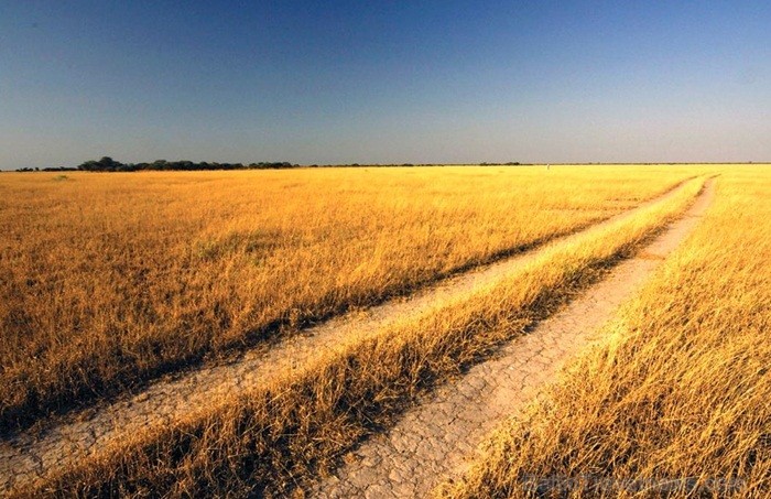 Āfrikas kontinentā Botsvāna ir labi zināma ar saviem mežonīgajiem apgabaliem un savvaļu. Foto: www.botswanatourism.co.bw 84273