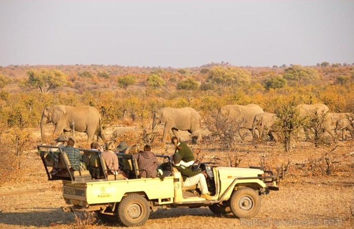 Āfrikas kontinentā Botsvāna ir labi zināma ar saviem mežonīgajiem apgabaliem un savvaļu. Foto: www.botswanatourism.co.bw 84280