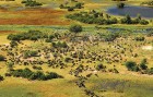 Āfrikas kontinentā Botsvāna ir labi zināma ar saviem mežonīgajiem apgabaliem un savvaļu. Foto: www.botswanatourism.co.bw 3