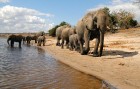 Āfrikas kontinentā Botsvāna ir labi zināma ar saviem mežonīgajiem apgabaliem un savvaļu. Foto: www.botswanatourism.co.bw 20
