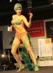 Skaistumkopšanas izstādes «Baltic Beauty 2012» konkursi  - «Body art 2012» un asociatīvā tēla konkurss. Foto sponsors: www.startours.lv 33