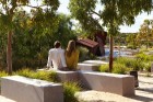Morningtonas pussala atrodas Austrālijā un tā spēj pārsteigt ar grandioziem 19.gs. dārziem un neskartiem krūmājiem. Foto: www.visitmorningtonpeninsula 20
