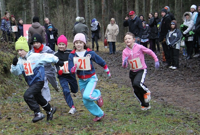 Sezonas noslēguma skrējiens Zilajos kalnos 10.11.2012. Foto sponsors: www.LatvijasCentrs.lv 84561