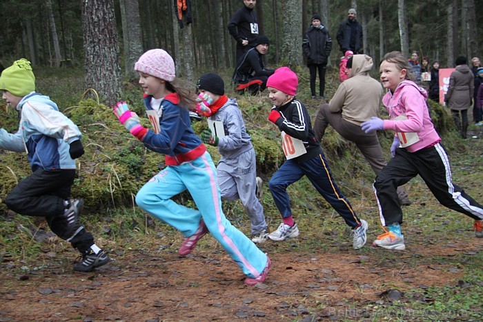Sezonas noslēguma skrējiens Zilajos kalnos 10.11.2012. Foto sponsors: www.LatvijasCentrs.lv 84562
