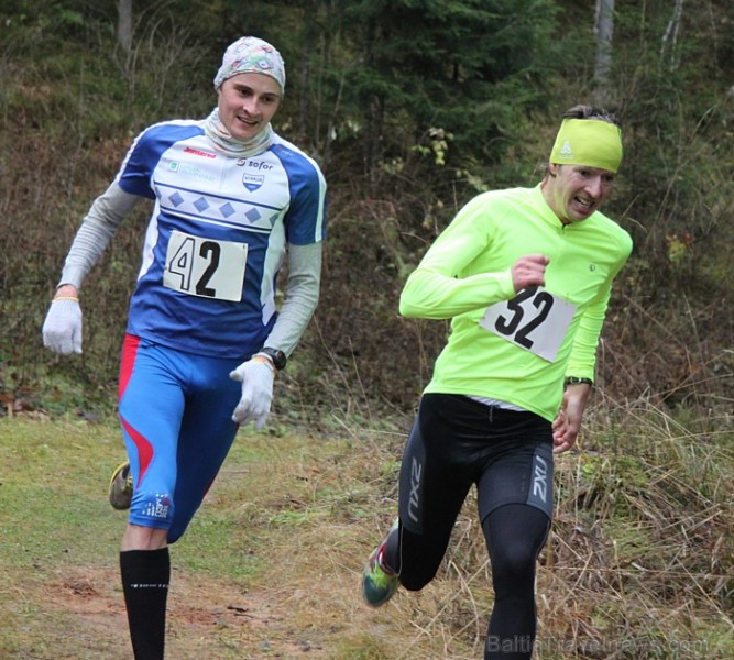 Sezonas noslēguma skrējiens Zilajos kalnos 10.11.2012. Foto sponsors: www.LatvijasCentrs.lv 84579