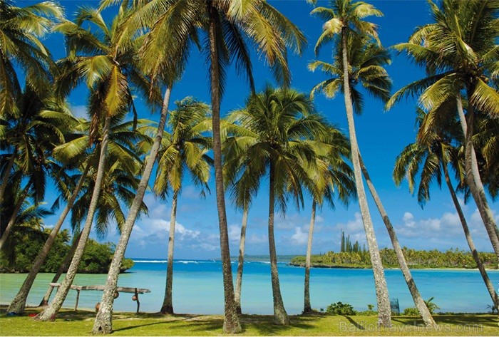 Jaunkaledonija ir Francijai piederoša salu grupa Klusajā okeānā, kas atrodas aptuveni 1200km no Austrālijas Ziemeļaustrumkrasta. Foto: www.visitnewcal 84675