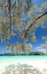 Jaunkaledonija ir Francijai piederoša salu grupa Klusajā okeānā, kas atrodas aptuveni 1200km no Austrālijas Ziemeļaustrumkrasta. Foto: www.visitnewcal 24