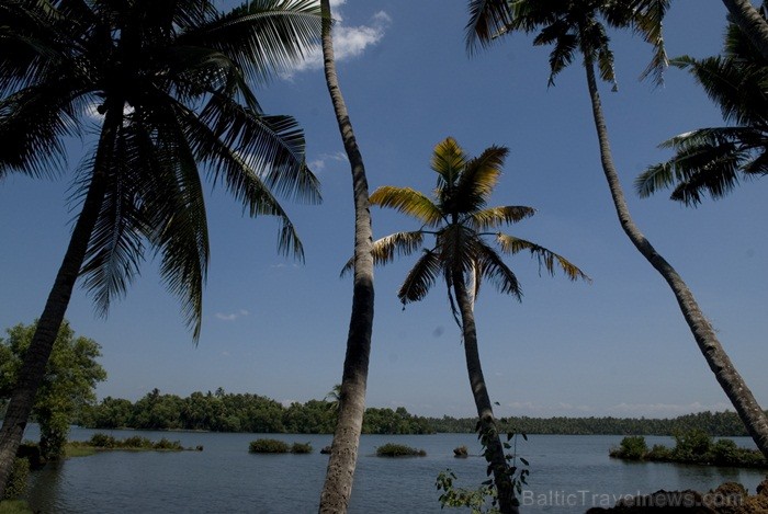 Kerala ir viens no Indijas štatiem, kas atrodas Indostānas pussalas dienvidos un Keralu sauc par Dievu, maģijas un garšvielu zemi. Foto:www.keralatour Kerala ir viens no Indijas štatiem, kas atrodas Indostānas pussalas dienvidos un Keralu sauc par Dievu, maģijas un garšvielu zemi. Foto:www.keralatour 84742