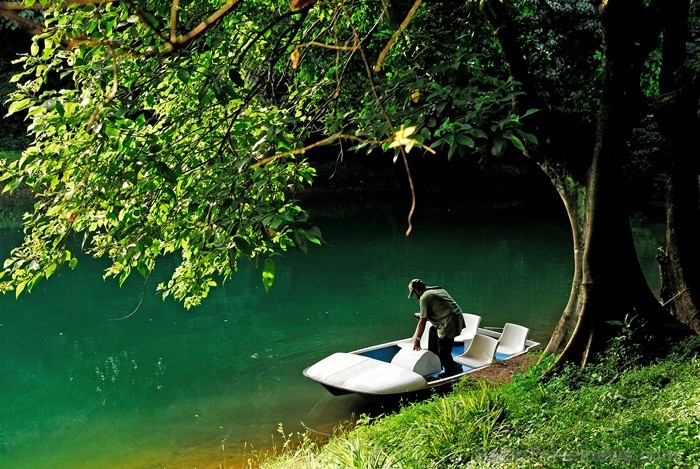 Kerala ir viens no Indijas štatiem, kas atrodas Indostānas pussalas dienvidos un Keralu sauc par Dievu, maģijas un garšvielu zemi. Foto:www.keralatour Kerala ir viens no Indijas štatiem, kas atrodas Indostānas pussalas dienvidos un Keralu sauc par Dievu, maģijas un garšvielu zemi. Foto:www.keralatour 84743