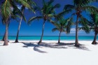 Dominikānas Republika aizņem divas trešdaļas Haiti salas un tā ir otrā lielākā valsts Karību reģionā. Foto: www.godominicanrepublic.com 1