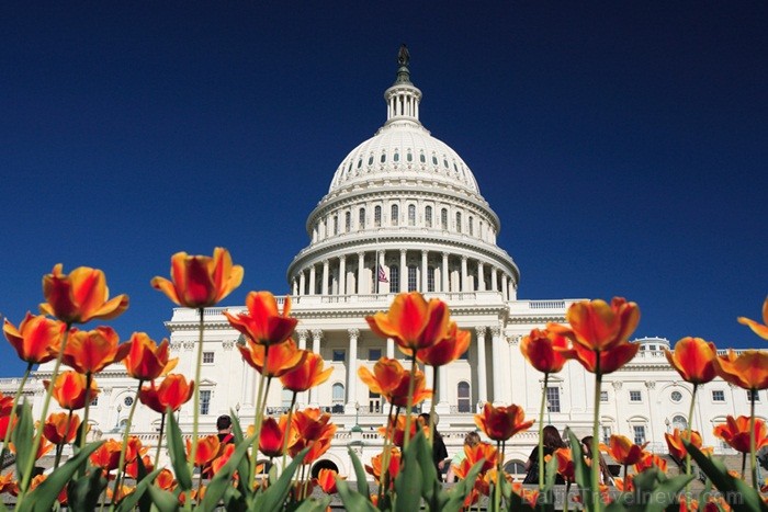 Vašingtona ir ASV galvaspilsēta, kas sniedz bagātīgu iespaidu par pilsētu un to, kādēļ būtu iemesls apmeklēt tieši šo pilsētu. Foro: www.washington.o Vašingtona ir ASV galvaspilsēta, kas sniedz bagātīgu iespaidu par pilsētu un to, kādēļ būtu iemesls apmeklēt tieši šo pilsētu. Foro: www.washington.o 84903