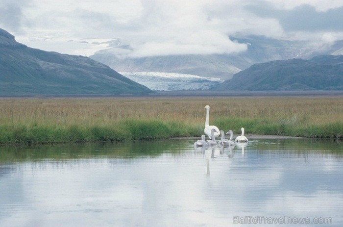 Islande jeb Īslande ir salu valsts Atlantijas okeāna ziemeļos starp Grenlandi, Norvēģiju un Britu salām. Foto: www.icelandtouristboard.com Islande jeb Īslande ir salu valsts Atlantijas okeāna ziemeļos starp Grenlandi, Norvēģiju un Britu salām. Foto: www.icelandtouristboard.com 85170