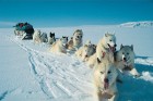Salu valsts Atlantijas okeāna ziemeļos - Islande