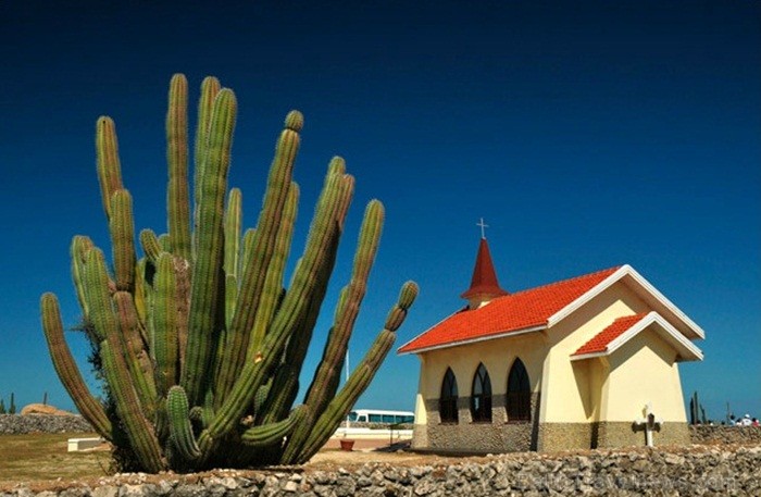 Aruba ir 33km gara sala Mazo Antiļu salu grupā, kas kopā ar Nīderlandi, Sintmārtenu un Kirasao veido Nīderlandes karalisti. Foto: www.aruba.com Aruba ir 33km gara sala Mazo Antiļu salu grupā, kas kopā ar Nīderlandi, Sintmārtenu un Kirasao veido Nīderlandes karalisti. Foto: www.aruba.com 85351