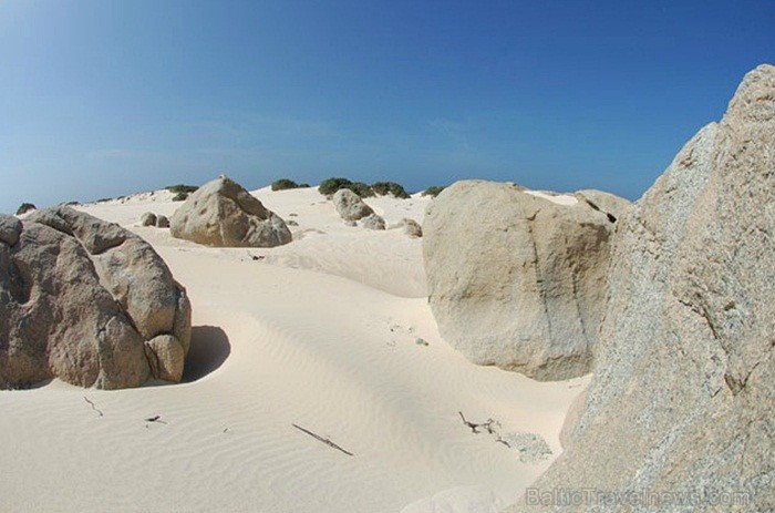 Aruba ir 33km gara sala Mazo Antiļu salu grupā, kas kopā ar Nīderlandi, Sintmārtenu un Kirasao veido Nīderlandes karalisti. Foto: www.aruba.com Aruba ir 33km gara sala Mazo Antiļu salu grupā, kas kopā ar Nīderlandi, Sintmārtenu un Kirasao veido Nīderlandes karalisti. Foto: www.aruba.com 85367