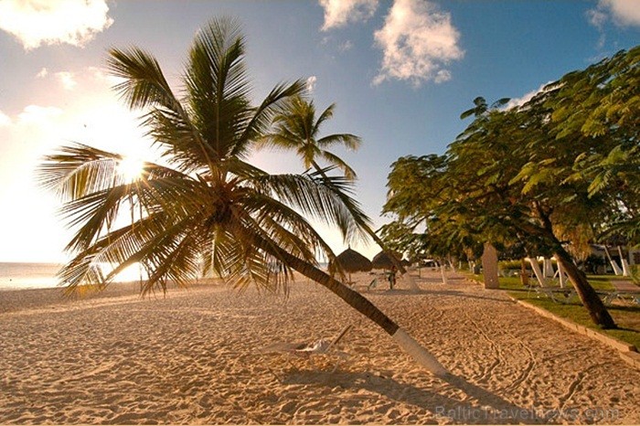 Aruba ir 33km gara sala Mazo Antiļu salu grupā, kas kopā ar Nīderlandi, Sintmārtenu un Kirasao veido Nīderlandes karalisti. Foto: www.aruba.com Aruba ir 33km gara sala Mazo Antiļu salu grupā, kas kopā ar Nīderlandi, Sintmārtenu un Kirasao veido Nīderlandes karalisti. Foto: www.aruba.com 85383