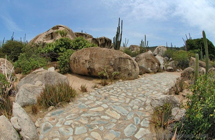 Aruba ir 33km gara sala Mazo Antiļu salu grupā, kas kopā ar Nīderlandi, Sintmārtenu un Kirasao veido Nīderlandes karalisti. Foto: www.aruba.com 85384