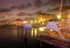 Aruba ir 33km gara sala Mazo Antiļu salu grupā, kas kopā ar Nīderlandi, Sintmārtenu un Kirasao veido Nīderlandes karalisti. Foto: www.aruba.com 39